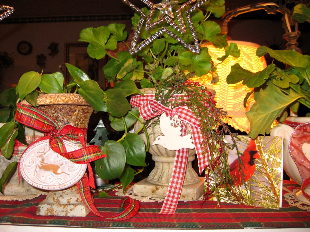 Cardinal card and plants