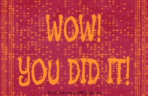 wow-you-did-it