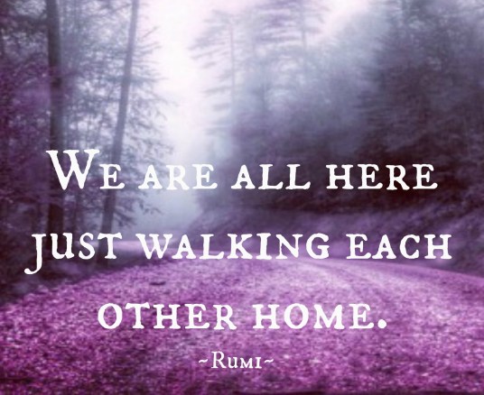 picture 4 05.02.2016